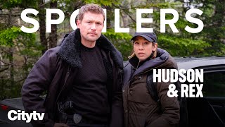 SPOILERS! What&#39;s New on Hudson &amp; Rex Season 5 | Sundays on Citytv