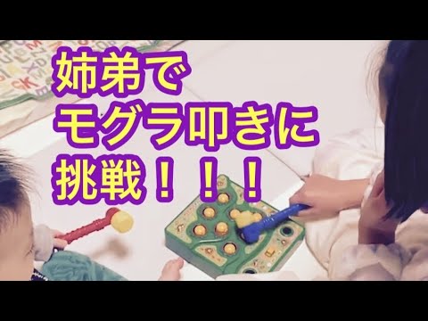 即買いおもちゃ。昭和から令和までも#もぐらたたき #バースデイ お求めやすくて優秀です^ ^ 姉弟のくいつき良し！