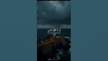 استخدموا الصوت🎧😌/ القارئ عبد الرحمن مسعد