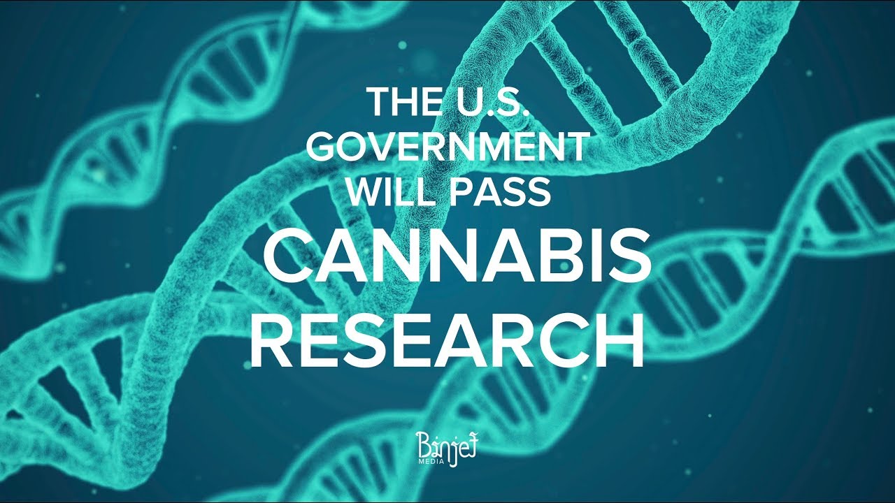 THE U.S. GOVERNMENT WILL PASS CANNABIS RESEARCH