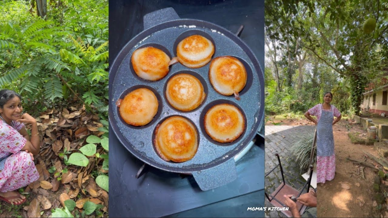 ഞങ്ങളുടെ പറമ്പിലെ കിളികളും കായ് കനികളും🍒🥭🍋🍈🍇🫐🍐🍈🍒ഒരു കുഞ്ഞ് അൽഭുത കാഴ്ചയും  വെറൈറ്റി ബ്രേക്ഫാസ്റ്റും😋