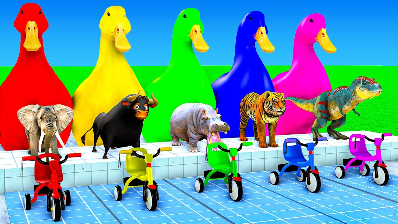 Long Slide Game with Tiger Bull Elephant Zebra Horse 3d Animal Game Funny 3d Animals