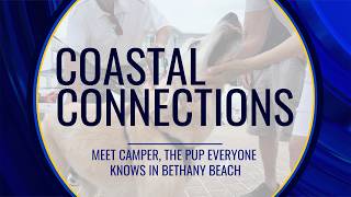Coastal Connections: Meet Camper, the pup everyone knows in Bethany Beach