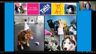 Canine Body Language Pt. 2