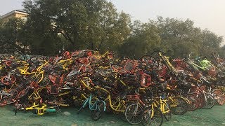 A possible cure for China's bike-sharing headache