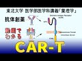 東北大学医学部薬理学講義シリーズ・抗体創薬−５：CAR-T