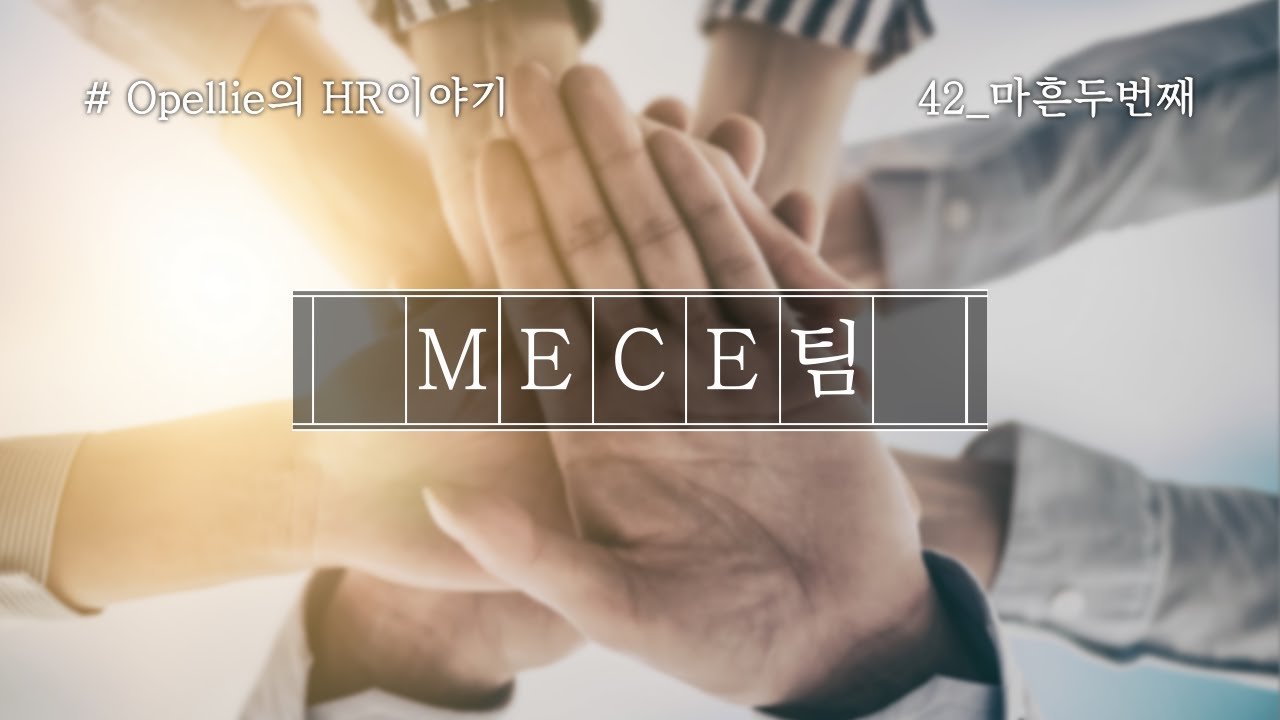 [Opellie의 HR이야기] 42. MECE팀