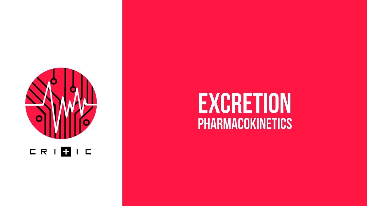 Excretion - The Pharmacokinetics Series