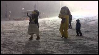 Le duo "Pingouin et Piou-Piou" met le feu sous la neige