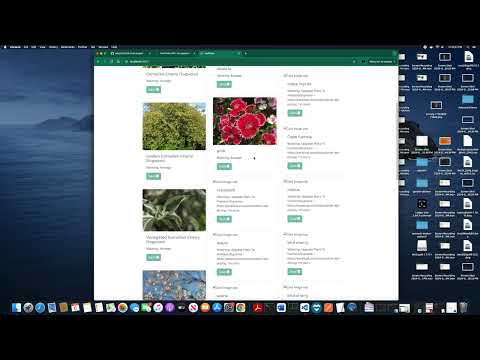 CS50 Web | Project 5 Solomon I. Capstone