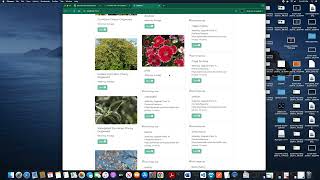 CS50 Web | Project 5 Solomon I. Capstone