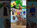 देशी छोरे और भारी ट्रैक्टर स्टंट! 🚜🔝 #viral