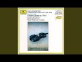 Miniature de la vidéo de la chanson Concerto Grosso For Two Violins, Strings And Harpsichord In A Minor, Op. 3 No. 8 (Rv 522): I. Allegro