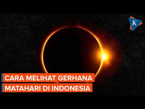 Video: Berapakah buta puncak mati?