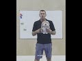 Are You A Hedgehog Or A Fox? Coaches, Choose.