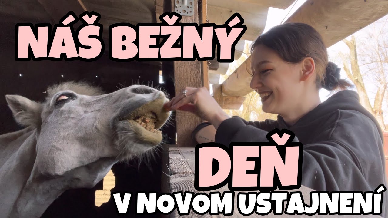 Prvé jazdenie v novom ustajnení!❤️ // DENNÁ RUTINA U GORRA✨
