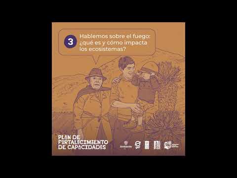 Hablemos sobre el fuego: ¿qué es y cómo impacta los ecosistemas?