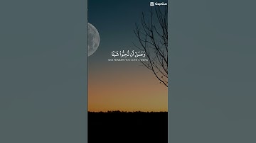 ارح قلبك ❤️ #المصحف #viral #اكسبلور #قران_كريم #قرآن #quran #explore #تلاوات #viral