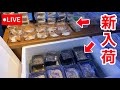 最速でデンドロさんの新入荷生体が見れるLIVE配信