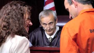 Vehicle Code 31: Penalties & Legal Defenses
