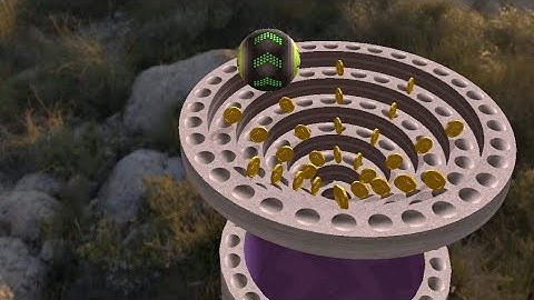 Going Balls : Speed Run - Gameplay Level 142