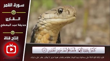 تلاوة سورة القمر من آية (40) إلى آية (47)