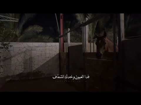 فدا العيون وخدك الشفاف نادر الشراري تصميم شيلات