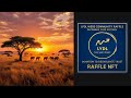 Raffle NFT on OpenPlaza from South Africa