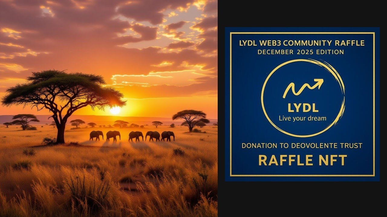 Raffle NFT on OpenPlaza from South Africa