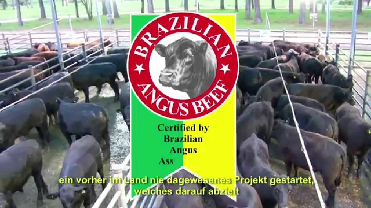 Brazilian Angus Beef - DEUTSH