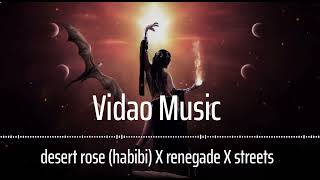 desert rose (habibi) X renegade X streets (tiktokmashup) /slowed+reverb.magic version Resimi