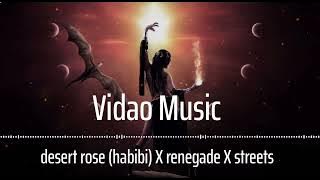desert rose (habibi) X renegade X streets (tiktokmashup) /slowed reverb.magic version