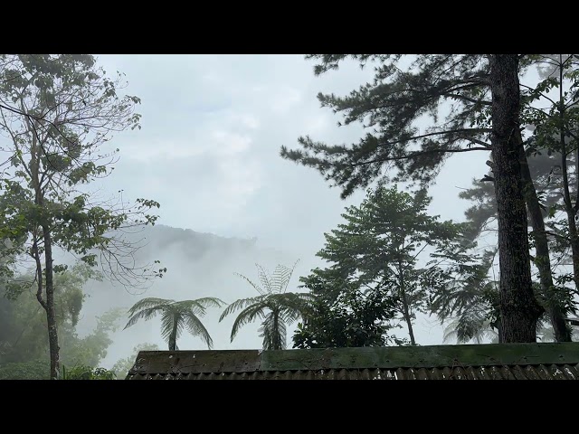 Camp Sabros Fog Timelapse