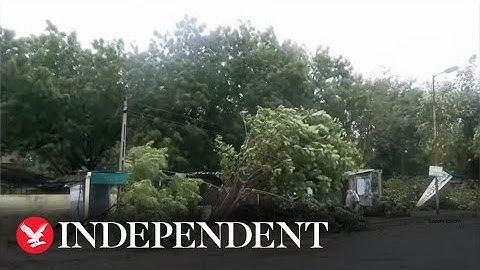 Strong waves, trees uprooted in India after cyclone Biparjoy makes landfall