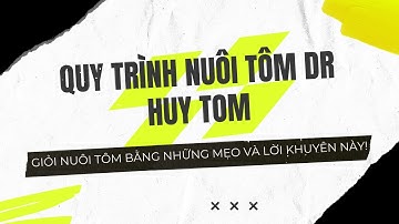 Làm thế nào để nuôi tôm thành công trên ao bạt