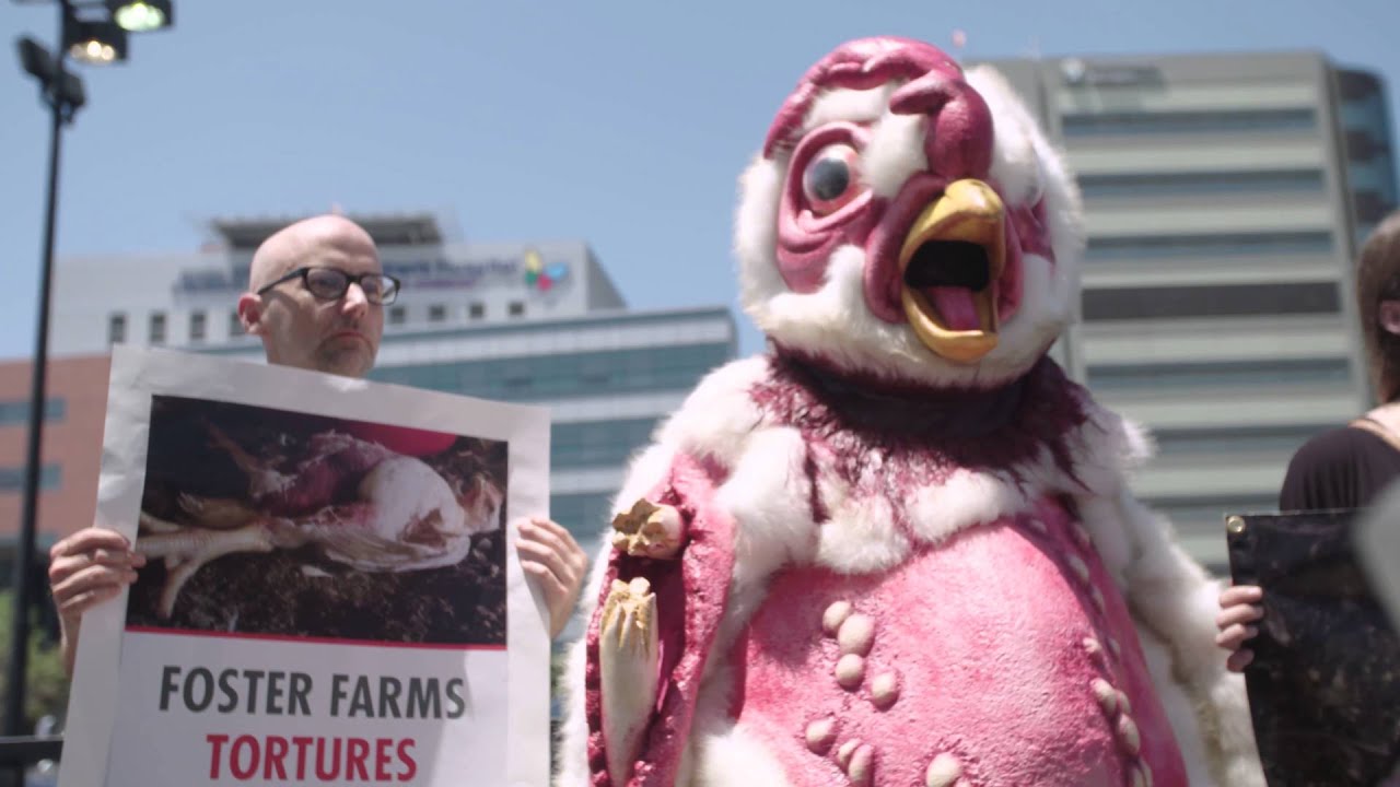 Mercy For Animals YouTube