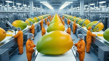 Inside A Modern Dried Mango Processing Factory: The Process From Harvest To Export
