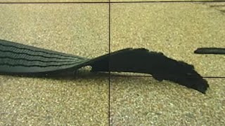 Ask Trooper Steve: Who should you call about debris in roadway?