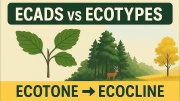 Ecads, Ecotypes, Ecotone, Ecocline | Must-Know Ecology Topics#environment #environmental#upsc 