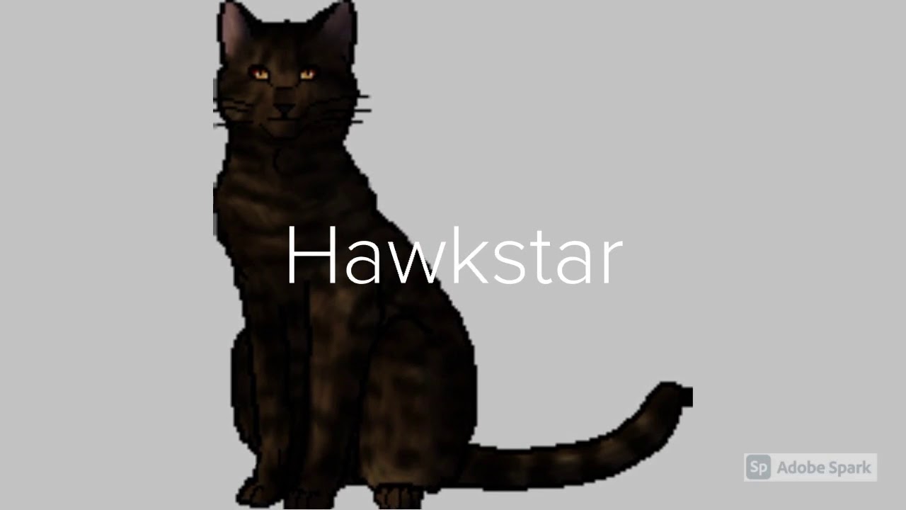 All Leaders of SkyClan (In Order)