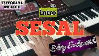 MELODI DANGDUT ‼️ SESAL ELVY SUKAESIH