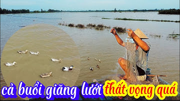 ra đồng nước nổi cả buổi giăng lưới thất vọng quá