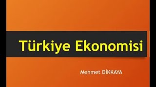 Türkiye Ekonomisi Soru ve Çözümler, 20 Soru 20 Cevap