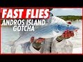 FAST FLIES: ANDROS ISLAND GOTCHA