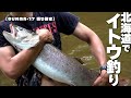 イトウが釣れるまで帰れない！！群馬から北海道まとめ【GUNMA-17切り抜き】