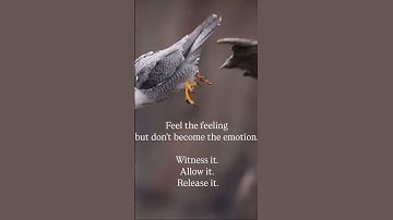 Raise your standards #music #duet #80smusic #dance