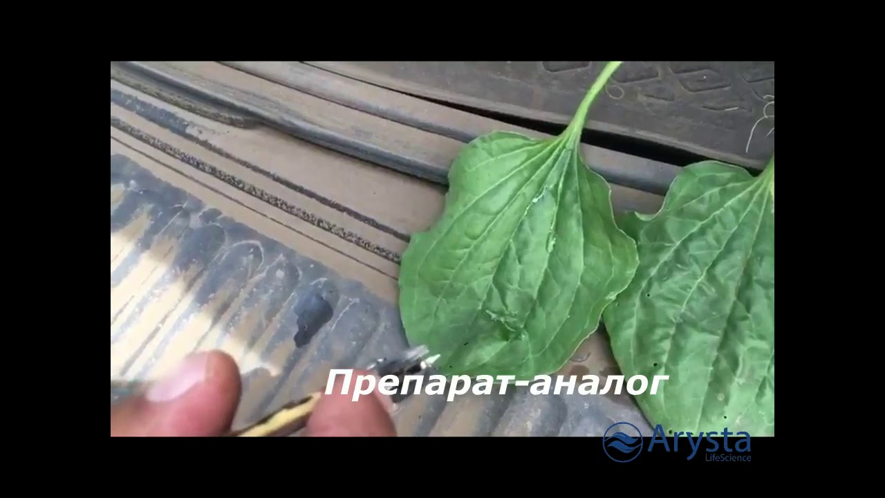 Супер-смачиватель Сильвет 408 - YouTube
