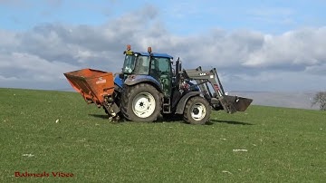 Feeding the Sheep with Chopped Beet.  New Holland action.