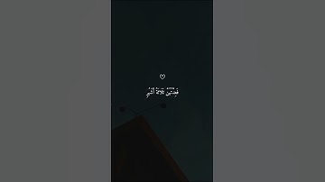 ومن يتق  الله يجعل له مخرجا - قرآن كريم #قرآن #ماهر_المعيقلي