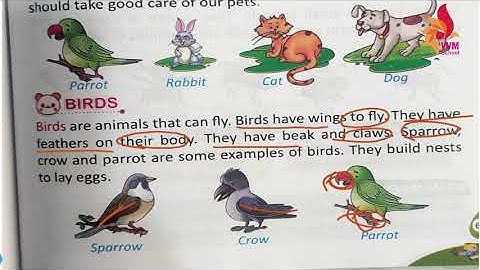 2021 22 CLASS 1 SUBJECT   EVS CHAP 13 ANIMALS AROUND US PART   2
